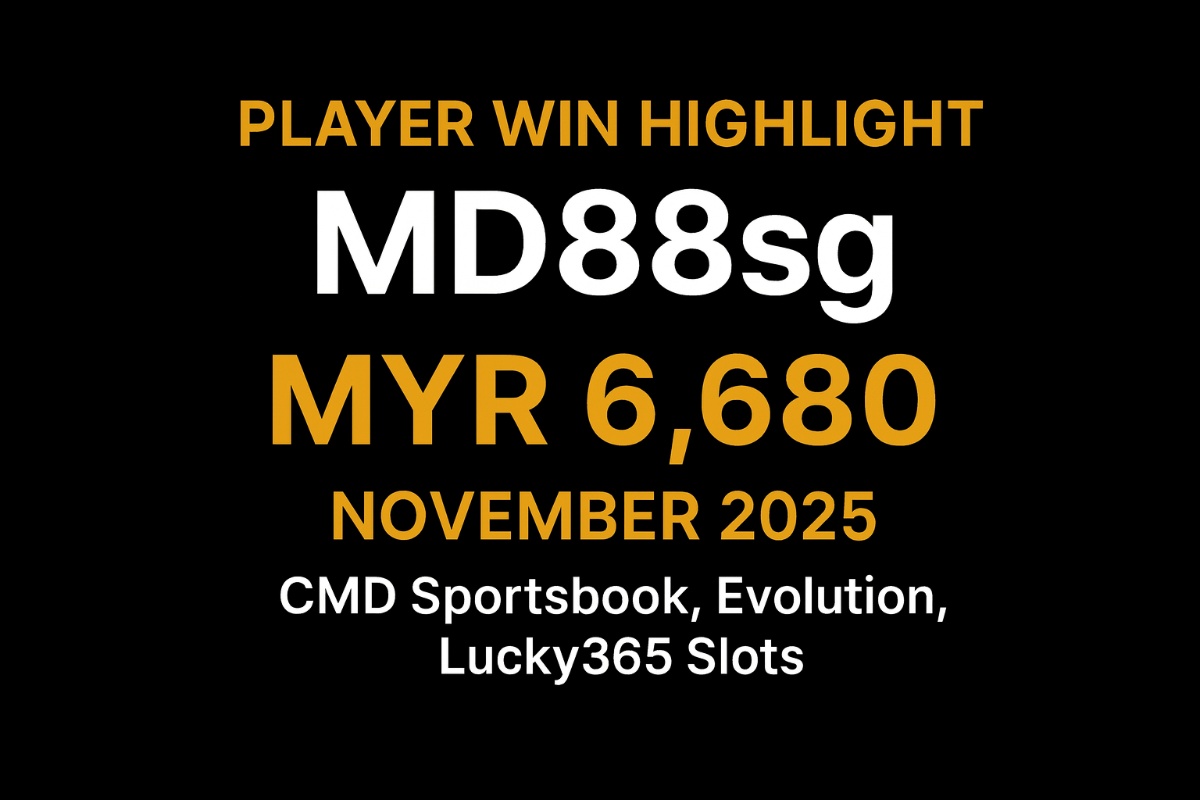 VWORLD VIP Player MD88sg